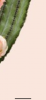 1F8CAE79-E22E-44EB-9BCB-7EF2C6176C07.png