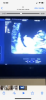 37801D76-08EF-43D7-8250-5E3A16BA90DA.png