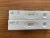 D6D11326-B076-4D0D-BE58-26953F1CA64B.jpeg