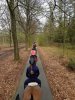 Paardrijden.jpg