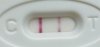 AA66F616-4F97-4D6D-B2D6-5CBEE51C387C.jpeg