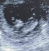 image1-1.jpeg