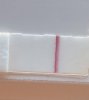 6BAB59D2-018B-476A-88B1-3665E624A25D.jpeg