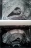 2012-06-11_11-58-01_312.jpg
