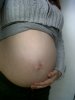 IMG00026-20120608-1735.jpg