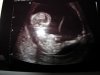 Baby 2.....jpg