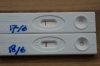 DSC08301.jpg