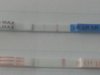 20130517_145604.jpg