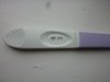 testen 14 dpo 002.jpg
