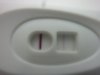 testen 14 dpo 003.jpg