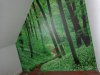 DSC00466.jpg