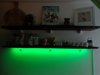 DSC00478.jpg