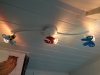 DSC00483.jpg