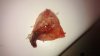 WP_20130523_003.jpg