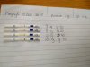 16312605451762361881995410761690.jpg