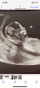639BA5D0-A97B-4F90-A34D-1A763E909AD9.png