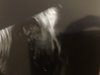 58AD244F-0DBB-4CCC-9C55-4BA407F8DE3C.jpeg