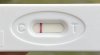 F2CF1769-089A-4DAD-A149-6698791BE7FF.jpeg