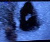 B64B96B6-677D-44E8-97CF-11D86E7DB441.jpeg