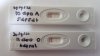20210930_10-11dpo droog.jpg