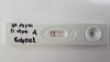 20210930_11dpo-a nat.jpg
