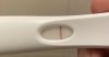 B44D4547-C8F9-440D-8974-363F9B672AAB.jpeg