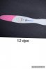57CEDDBE-5EEE-4A8D-A8A6-A121A18EC67D.jpeg