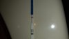 IMG-20211002-WA0022.jpeg