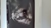 IMG-20211005-WA0023.jpeg