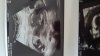 IMG-20211005-WA0021.jpeg