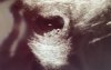 B6775120-E143-4FE8-83F2-DA26AD2D88C9.jpeg