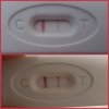 photocollage_202110196817320.jpg