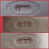 photocollage_2021102118849461.jpg