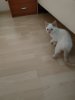 IMG20211023112741.jpg