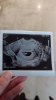 IMG-20211025-WA0002.jpeg