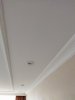 IMG_20211027_115650.jpg