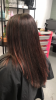 9F4C3362-0E5E-4294-A8BA-D3EEAC27212D.png