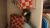 20211101_054003.jpg