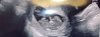 E810DA61-757D-4DB0-BD6B-E8406EE28D68.jpeg