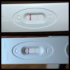 PCIMG_2021-11-12_08-53-58.JPG