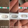 E40EB126-E944-4DF3-8DD9-ED693986DD6C.jpeg