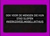 FB_IMG_1637571129957.jpg