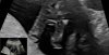 50C75026-0C68-4681-AD7D-EC89DE5E0A61.jpeg