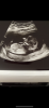8B72B810-7FC6-41D9-970C-C04B5CDDF6C6.png