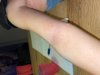 3DAE029D-9107-49F1-9911-60E6C1E56F2E.jpeg