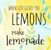 woonkaart-when-life-gives-you-lemons.jpg