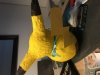 C26C0D6F-B427-4B28-8953-91AEA2B0CCEF.jpeg