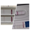 FBCE776F-DDF3-4EE5-B431-3BD6E59455BB.png