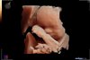 B7DAF261-2A6C-472C-A4DE-A36317032C1F.jpeg