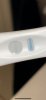 F33830A4-CD8B-490F-A865-F77AD20DC050.png